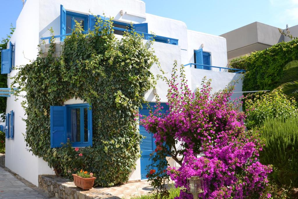 普拉坦斯加丽娜海滩酒店的白色的建筑,有蓝色百叶窗和紫色的鲜花