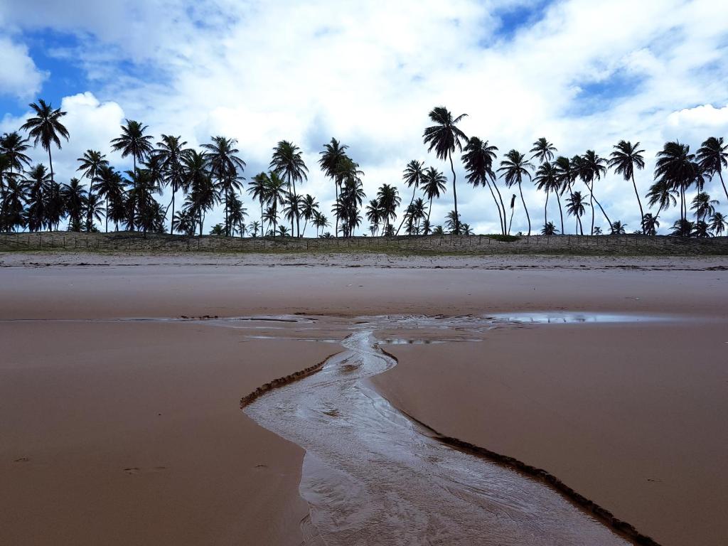 马塔迪圣若昂Rosagash Paradise - Praia de Santo Antonio的远处拥有棕榈树的海滩