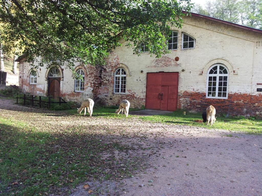 Matildedal罗金马嘉塔罗旅馆的三匹马在砖房前放牧