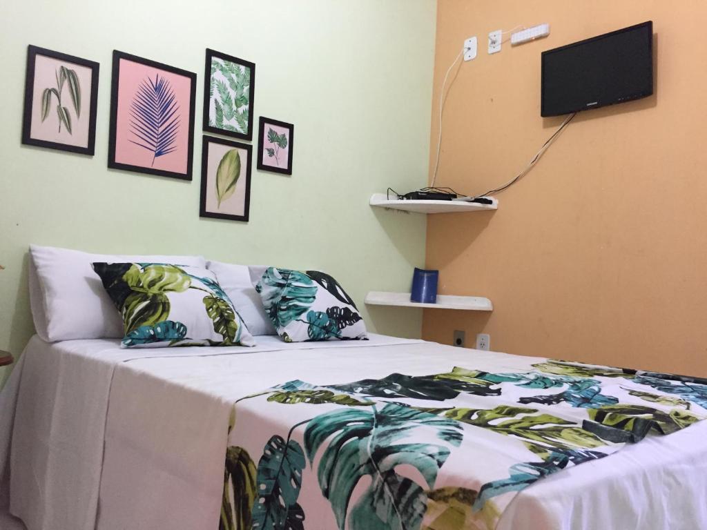 圣阿马鲁Pousada Rio Alegre的卧室配有一张床,墙上配有电视。