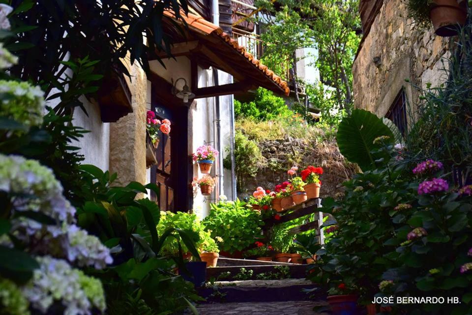 莫加拉斯安帕罗乡村度假屋的一座花园,在一座建筑前种有鲜花和植物