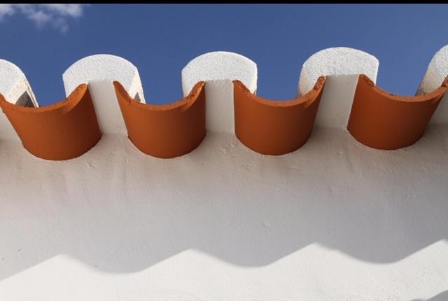 维迪盖拉Casa da Matriz的建筑物顶上一排棕色和白色的帽子