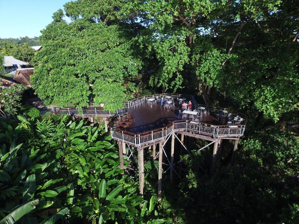科科波科可波海滩别墅度假村的森林中树屋的空中景观