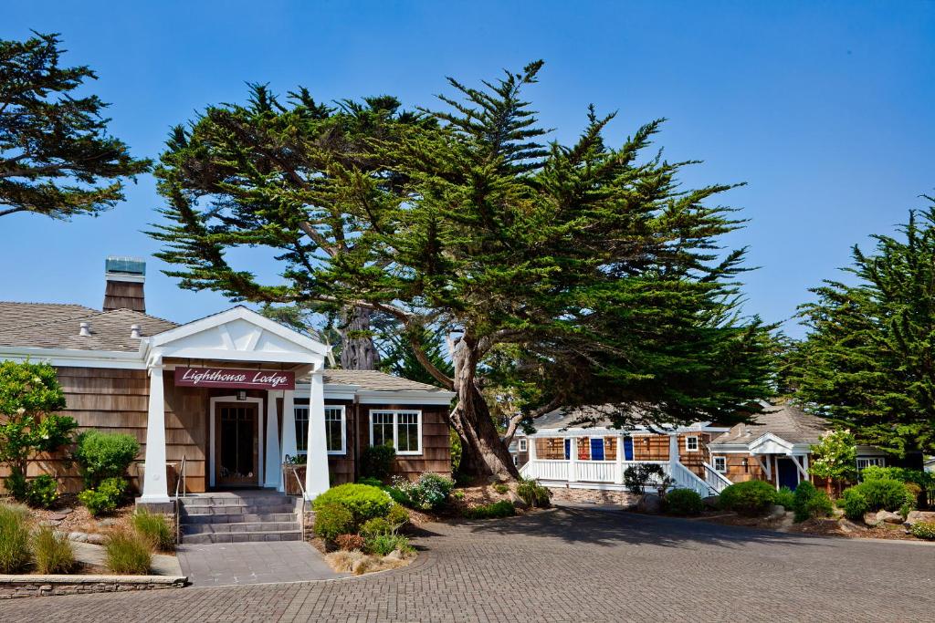 太平洋丛林灯塔小屋旅舍的前面有一棵树的房子