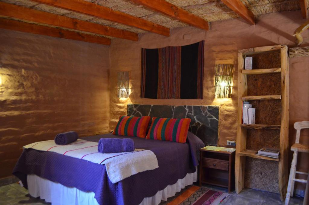圣佩德罗·德·阿塔卡马Ckuri Atacama的一间卧室设有一张床和一个书架