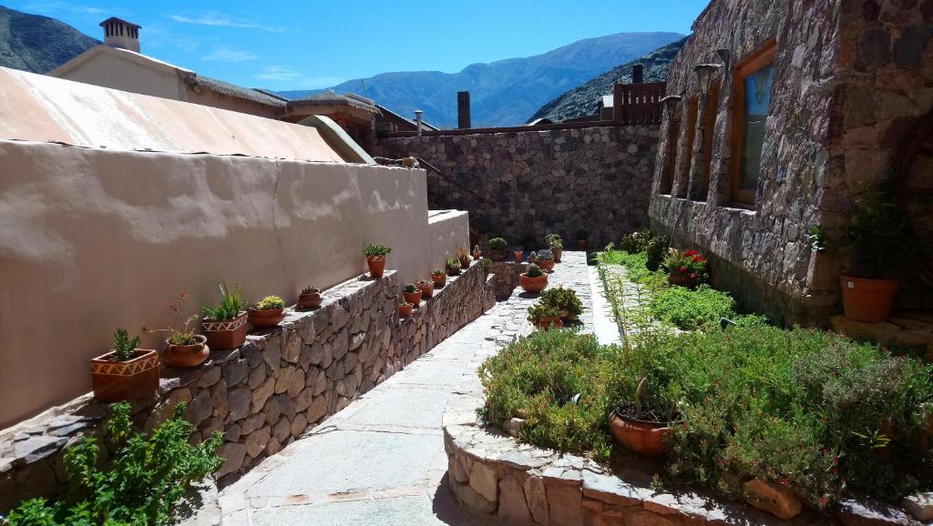 普尔马马尔卡Del Amauta Hosteria的建筑一侧种有盆栽植物的庭院