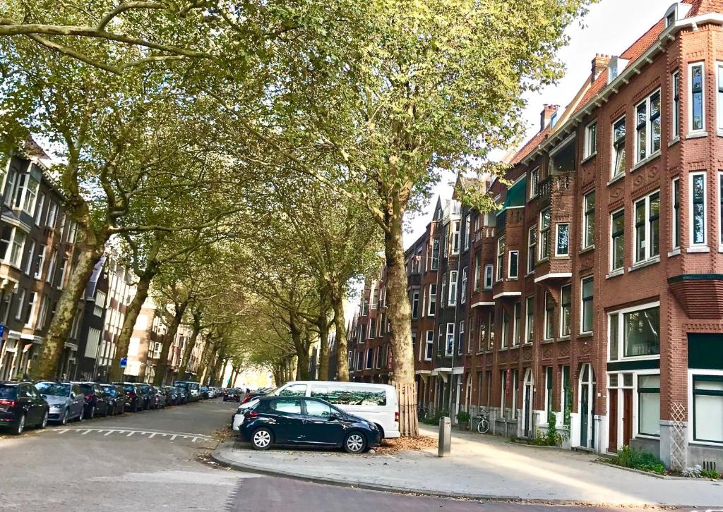 鹿特丹Bed and Breakfast Rotterdam的一条城市街道上,街上有汽车停放