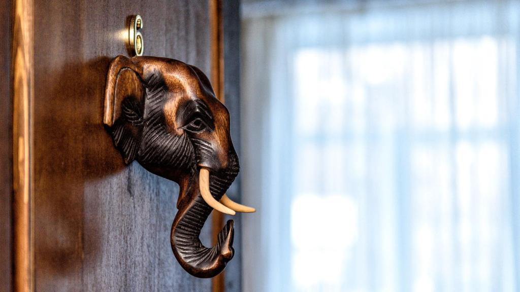 彼尔姆Hotel Azia的挂在木门上的象头