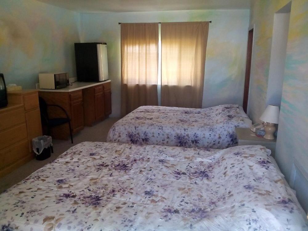 Mount StormMountaineer Motel的一间卧室配有两张床和一张书桌及电视