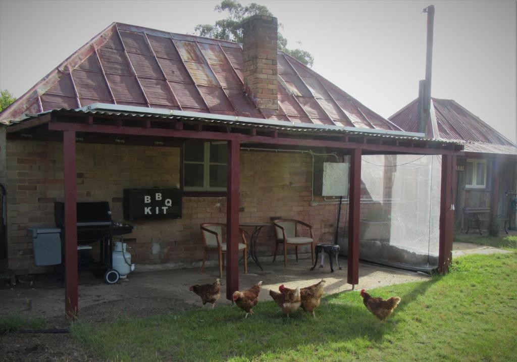 MarrangarooFernbrook Cottage的一群站在房子前面的鸡