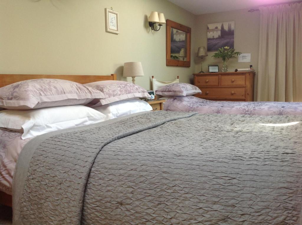 大邓莫莫茨住宿加早餐酒店的一间带两张床和梳妆台的卧室