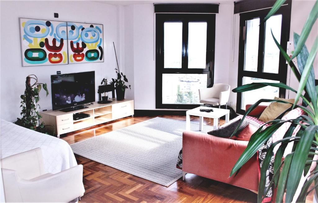 奥维多Ático céntrico的带沙发和电视的客厅