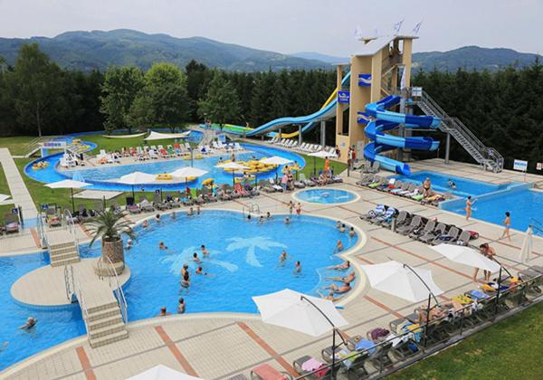多布瓦Apartma Sebastjan Dobova near Terme Paradiso的一座大型游泳池,里面设有水公园里的人