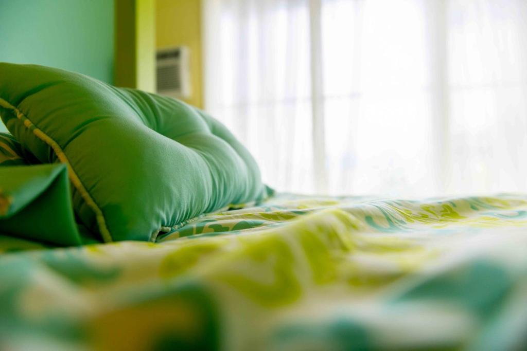 希洛The Big Island Hostel的床上有绿色枕头
