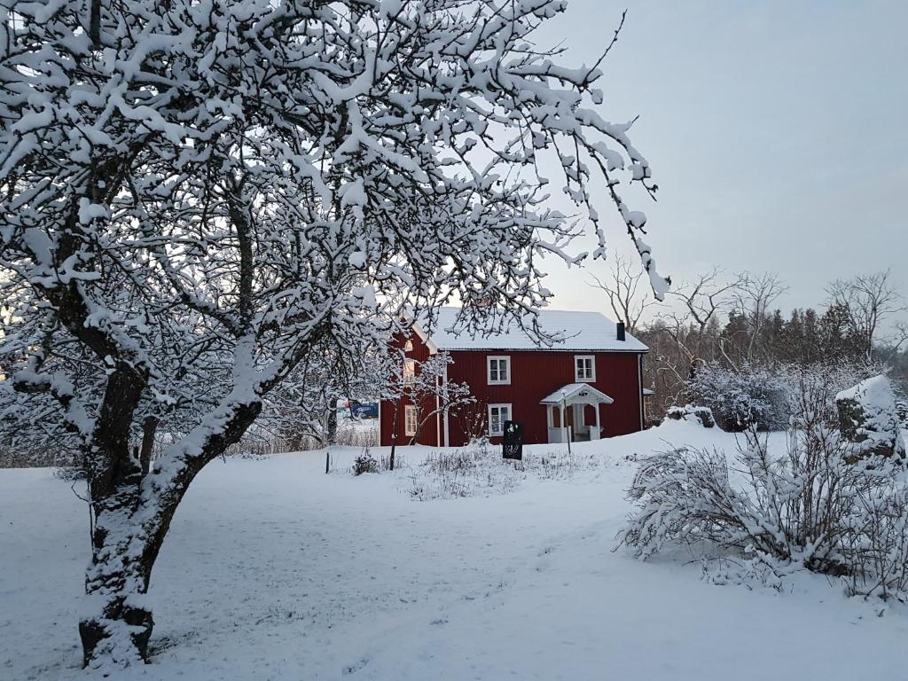 GlanshammarSkölvs Gård的红谷仓前的雪覆盖的树