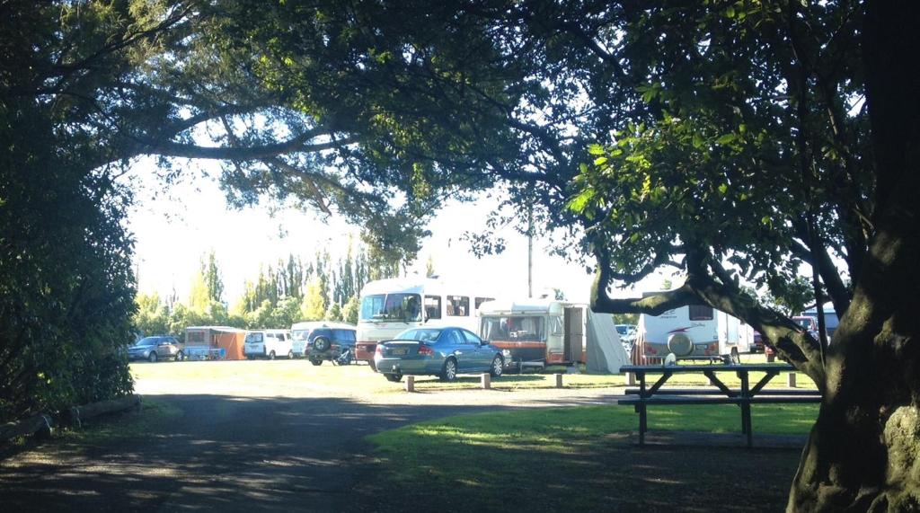 格雷敦Greytown Campground的一群人停在公园里,带一张野餐桌