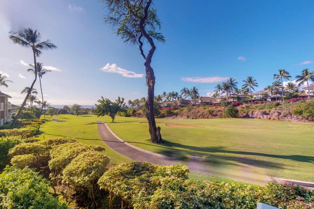 维雷亚Wailea Grand Champions的棕榈树高尔夫球场上的树