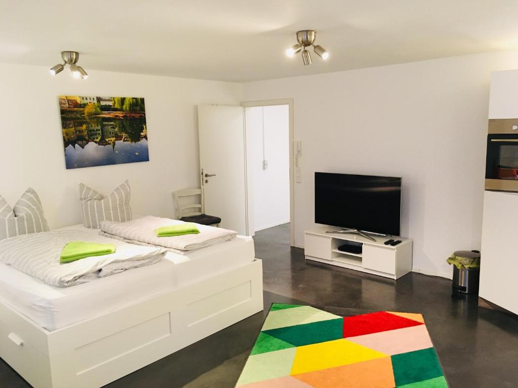 蒂宾根Ruhige Wohnung in zentraler Lage Tübingens的客厅配有两张床和一台平面电视
