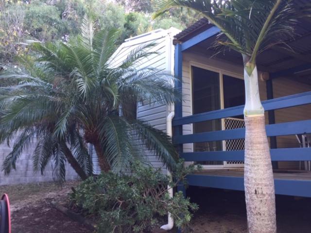 弗雷泽岛Elouera Units的两棵棕榈树在房子前面