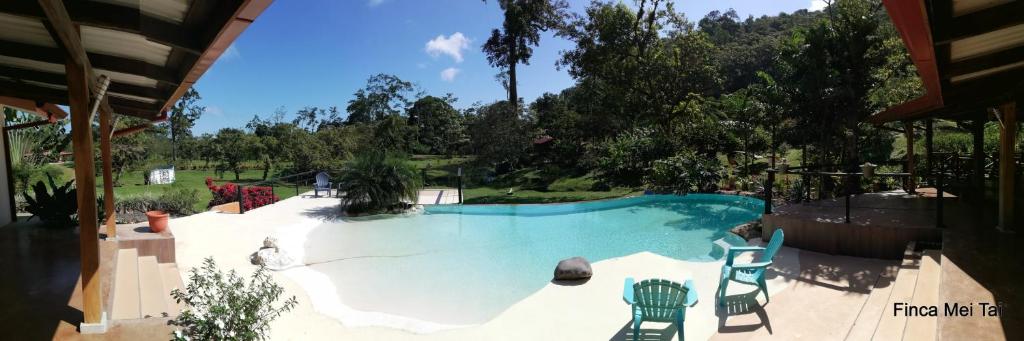 比加瓜Mei Tai Cacao Lodge的后院带椅子的大型游泳池