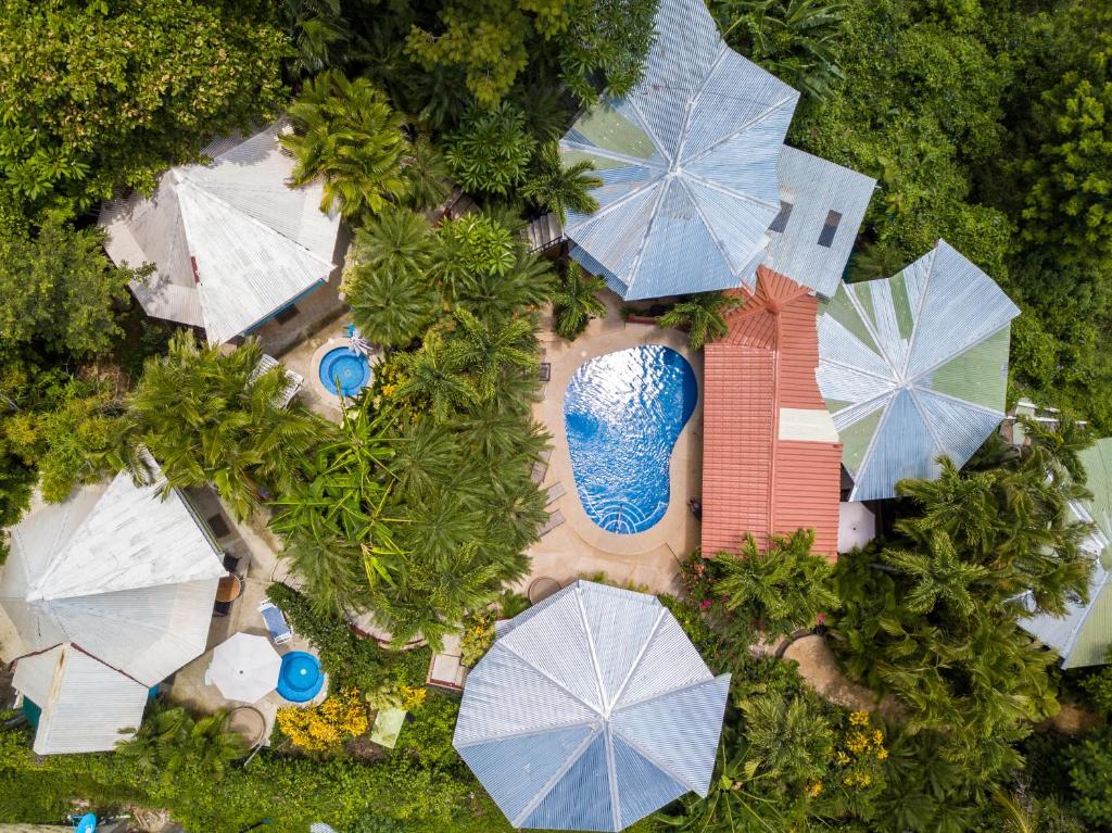 塔马林多Tamarindo Village Hotel的享有带遮阳伞的游泳池的顶部景致