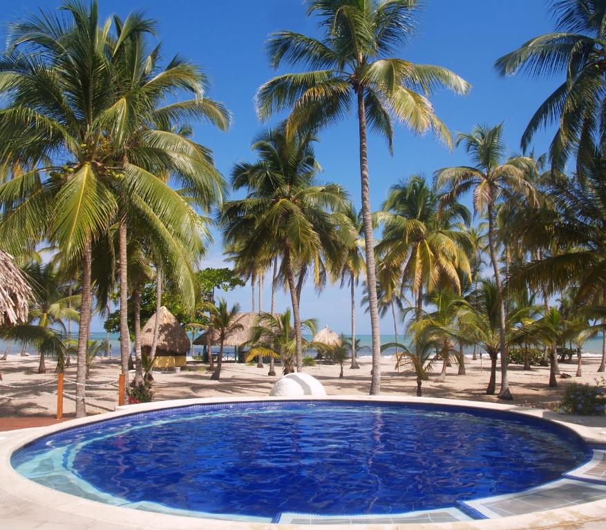 帕洛米诺Aite Eco Resort的棕榈树海滩上的游泳池