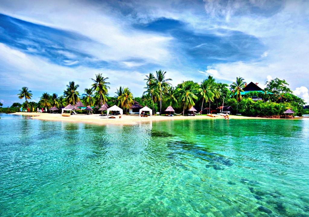 巴迪安巴贝多岛疗养酒店的棕榈树岛和碧绿海水海滩