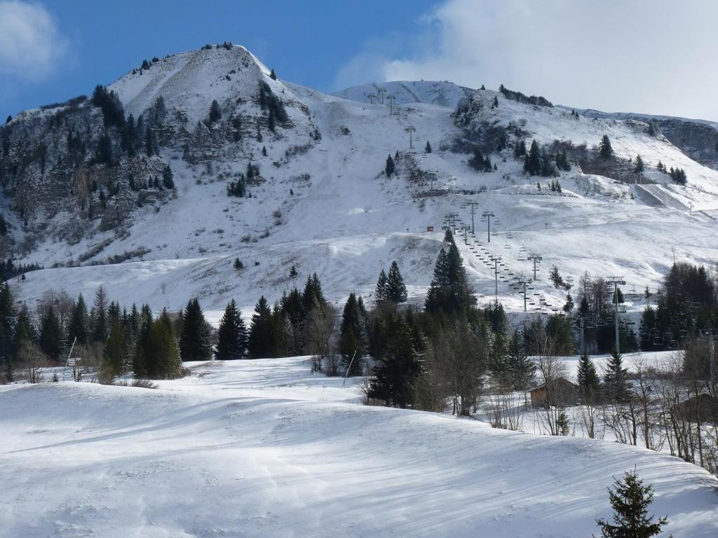 大博尔南Les Amborzales的雪覆盖的山中,有滑雪缆车