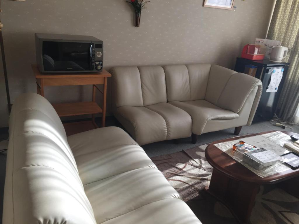 那智胜浦町Katsuura Seaside Hotel的带沙发和电视的客厅