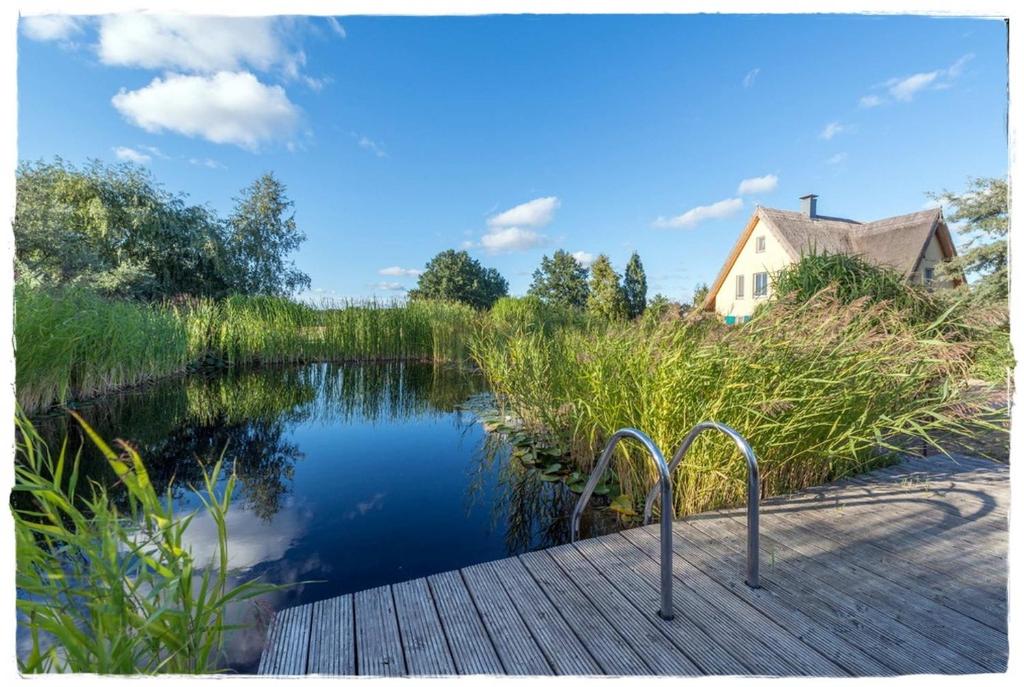 朗克维茨Reetdachhaus mit Schwimmteich in Krienke的享有池塘和木板路的景色