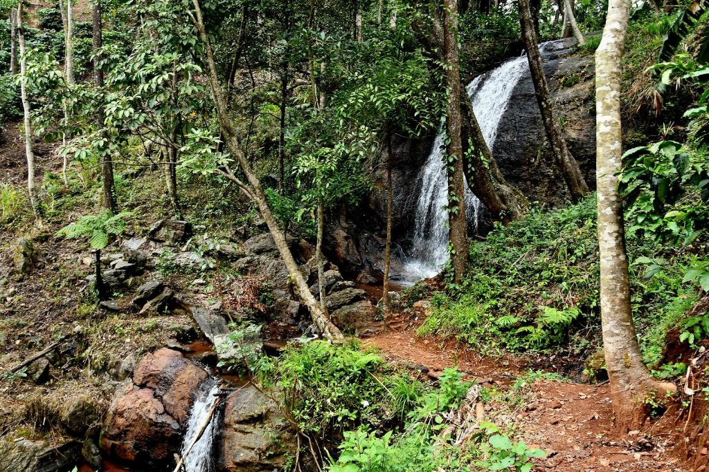 瑟格莱什布尔Karadikallu Homestay - Private Waterfalls & Guided Trek的森林中间的瀑布