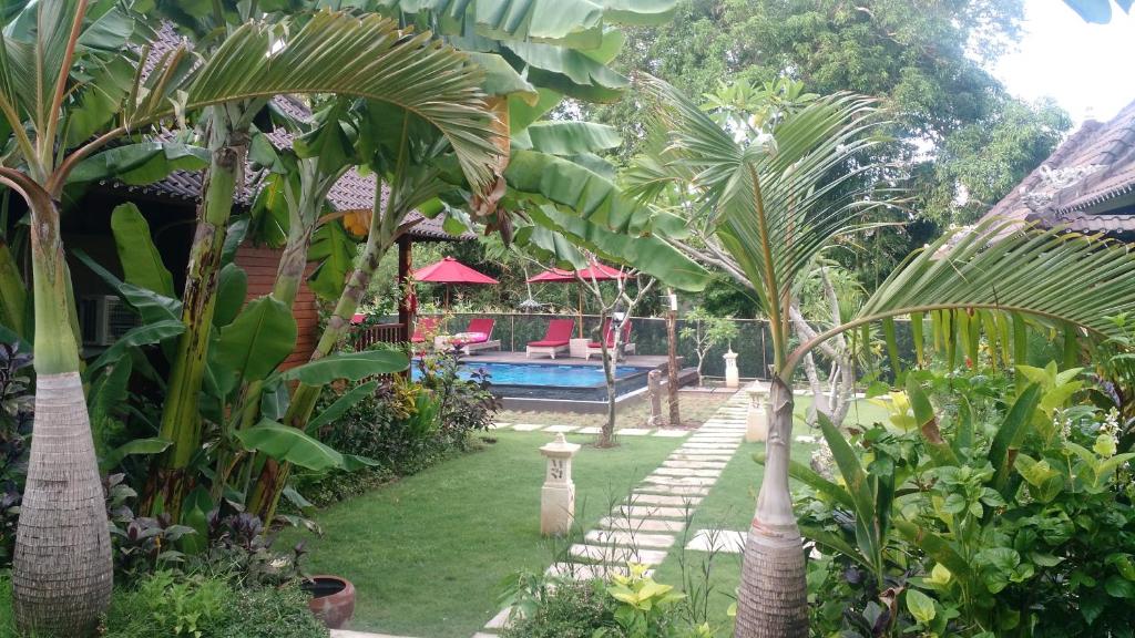蓝梦岛蓝梦岛山林小屋的一个带游泳池和一些棕榈树的花园