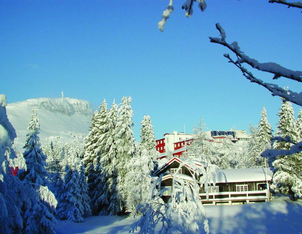 SvingvollThon Hotel Skeikampen的一座被雪覆盖的建筑,有树木和山