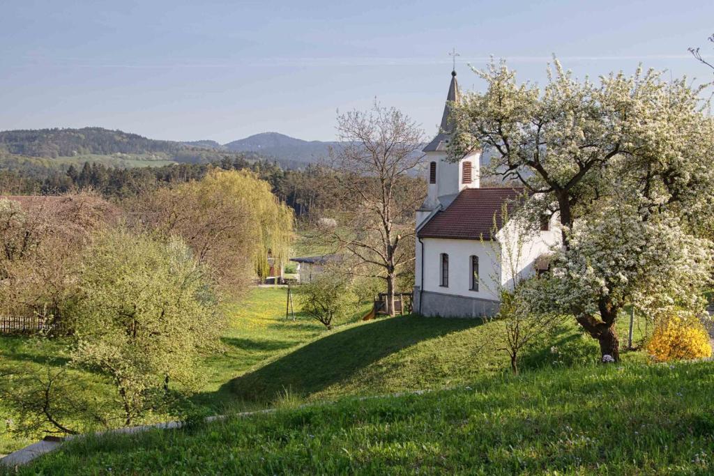 LeibenWilli's Bauernhof的一座树木茂密的山丘上的古老白色教堂