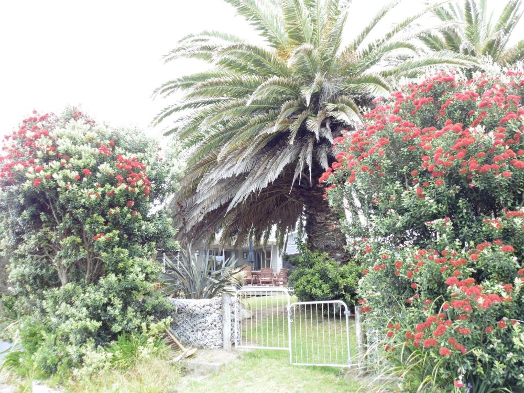 怀卡奈Twin Palms的种满鲜花的花园中的棕榈树和大门