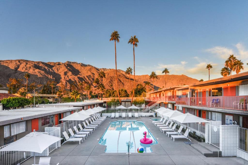 棕榈泉The Skylark, a Palm Springs Hotel的一座拥有游泳池、椅子和棕榈树的酒店