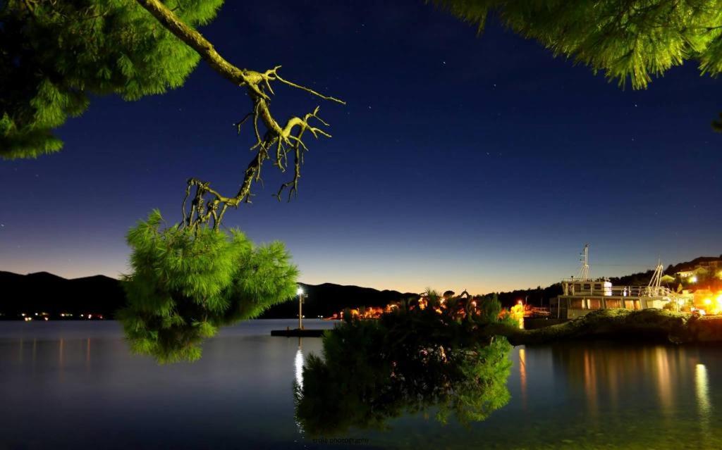 库希斯特Apartman Iva的享有夜间大型湖泊的景致