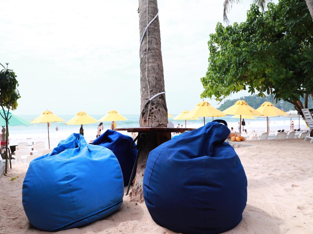 米瑞莎Fresh Wave Mirissa - Beach Front的两袋蓝色的袋子坐在树旁的海滩上