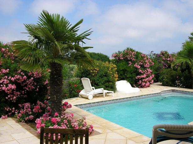 阿格德角Villa avec piscine的一个带两把椅子的游泳池,一个棕榈树和鲜花