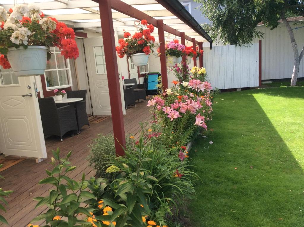 摩尔比兰加Kalkstenens Bed and Breakfast的庭院里种满鲜花的有盖庭院