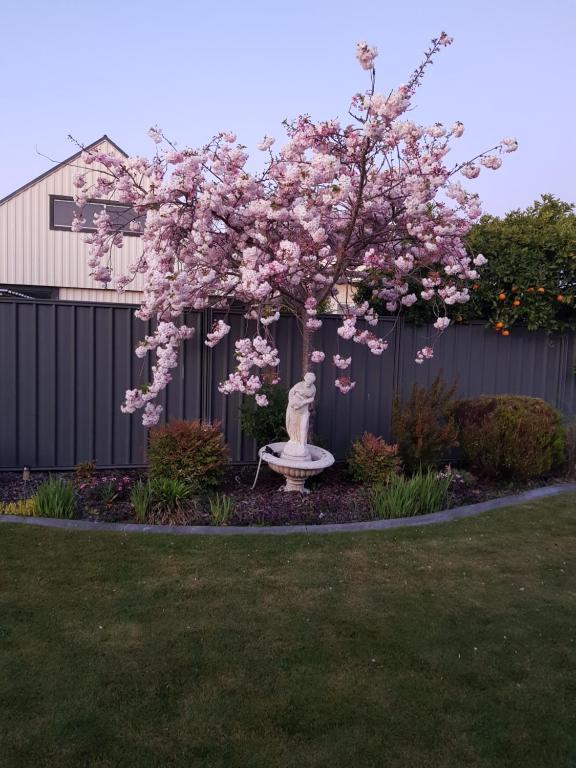 哈士汀Liz on Lowry的院子里有粉红色花的树
