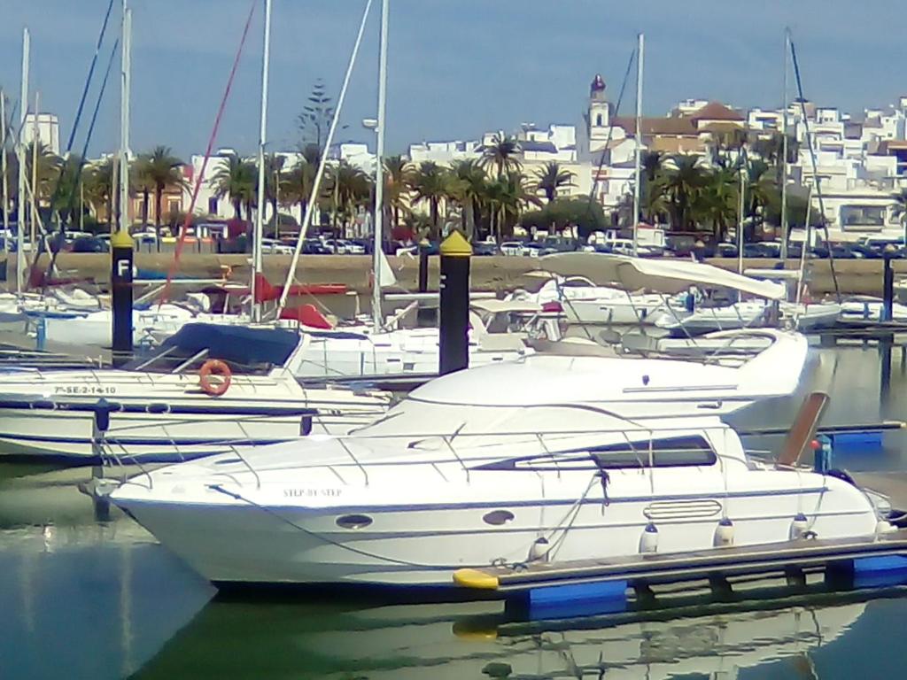 阿亚蒙特El Mirador de la Desembocadura的一群船停靠在码头
