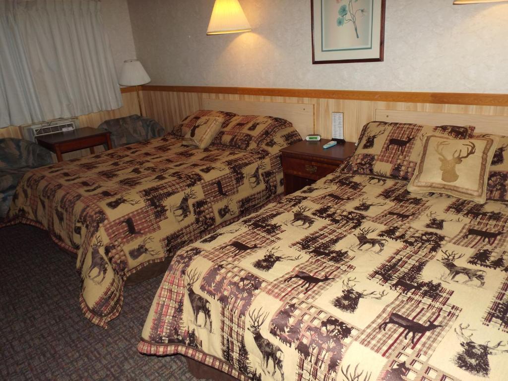Libby卡布斯汽车旅馆的一间酒店客房,房间内设有两张床