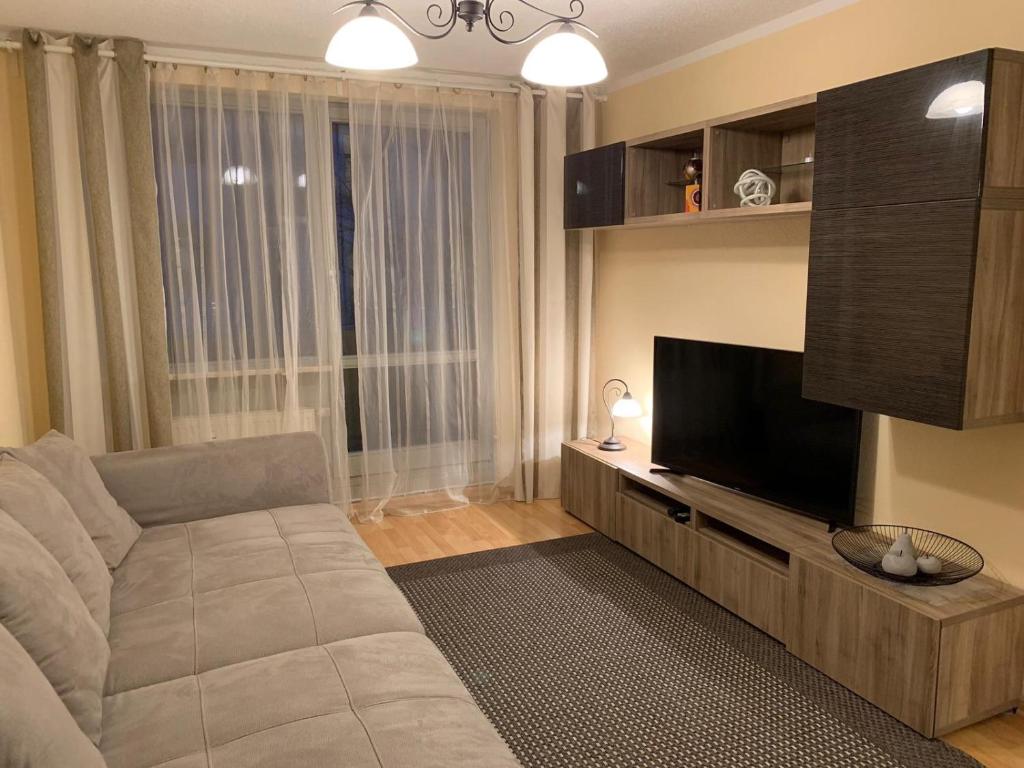 德累斯顿Apartment City Center Prestige的带沙发和平面电视的客厅