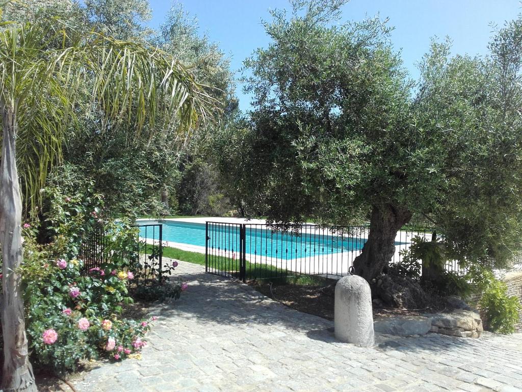 勒卡斯特雷特La Bastide de l'Oliveraie的游泳池旁的树 ⁇ 