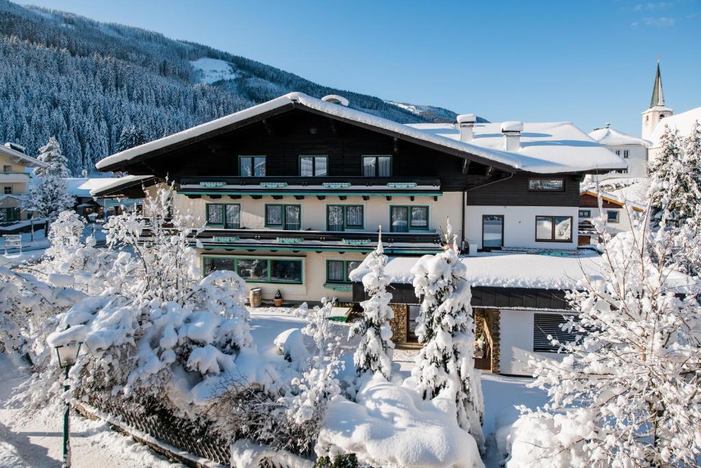 费尔兹姆斯里德尔阿尔卑斯山别墅酒店的雪中的房子,有雪覆盖的树木