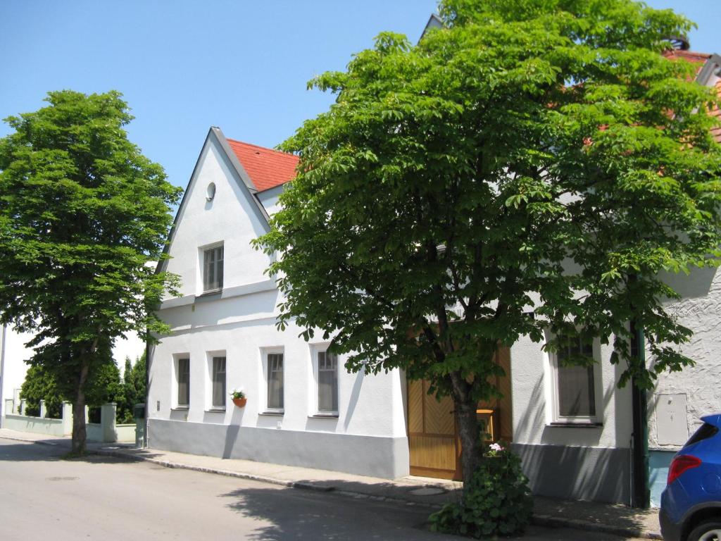 伊尔米茨Stieglerhof Apartments Dr Eitner GnbR Bernd und Edeltrud的前面有一棵树的白色房子