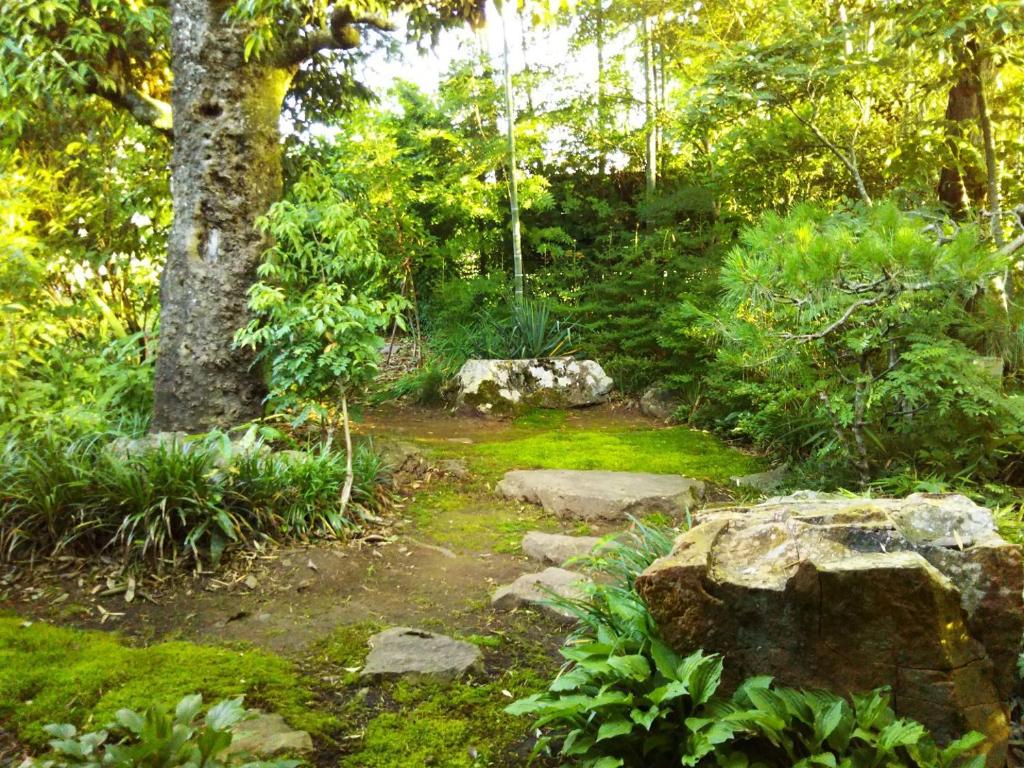TakaiKamitakai-gun - House / Vacation STAY 12362的种有岩石、树木和树木的花园
