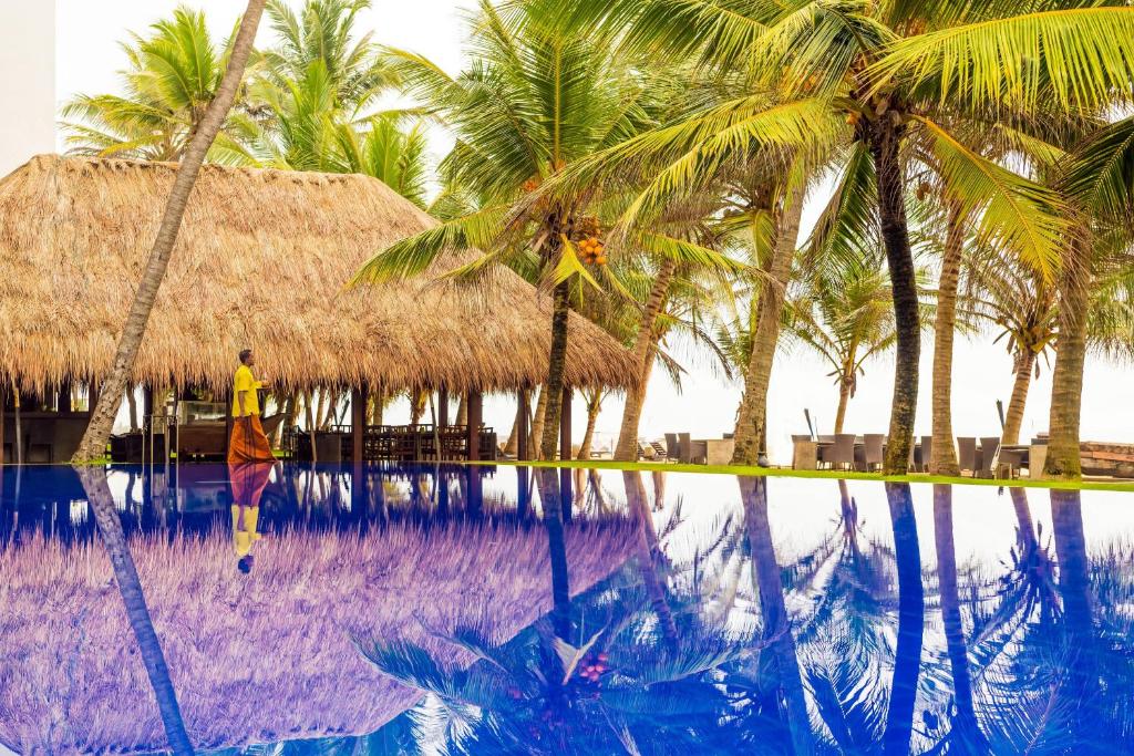 尼甘布杰特维茵酒店集团有限公司的站在棕榈树游泳池旁的人
