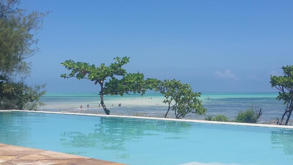 帕杰Jaribu Beach Hotel的毗邻海滩的游泳池